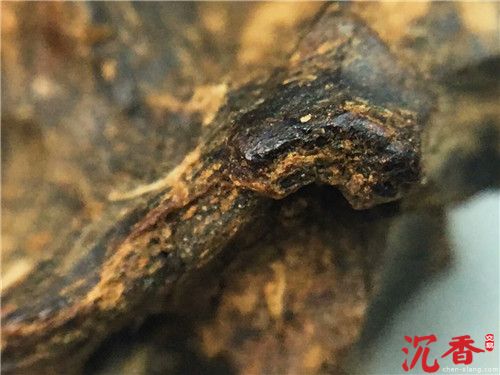海南奇楠