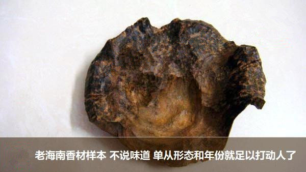 浅谈沉香的圣经，丁谓的《天香传》