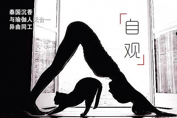 泰国沉香与瑜伽，天人合一的哲学