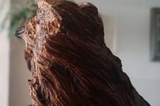 关于沉香入门，投资，你必须具备的心态