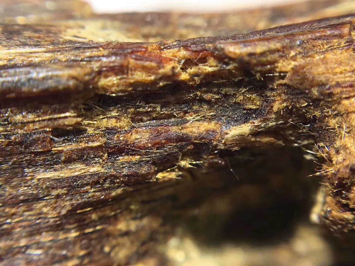 鉴定沉香品质的六度（六个方向）