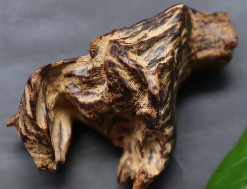 如何选择好的沉香原材或摆件