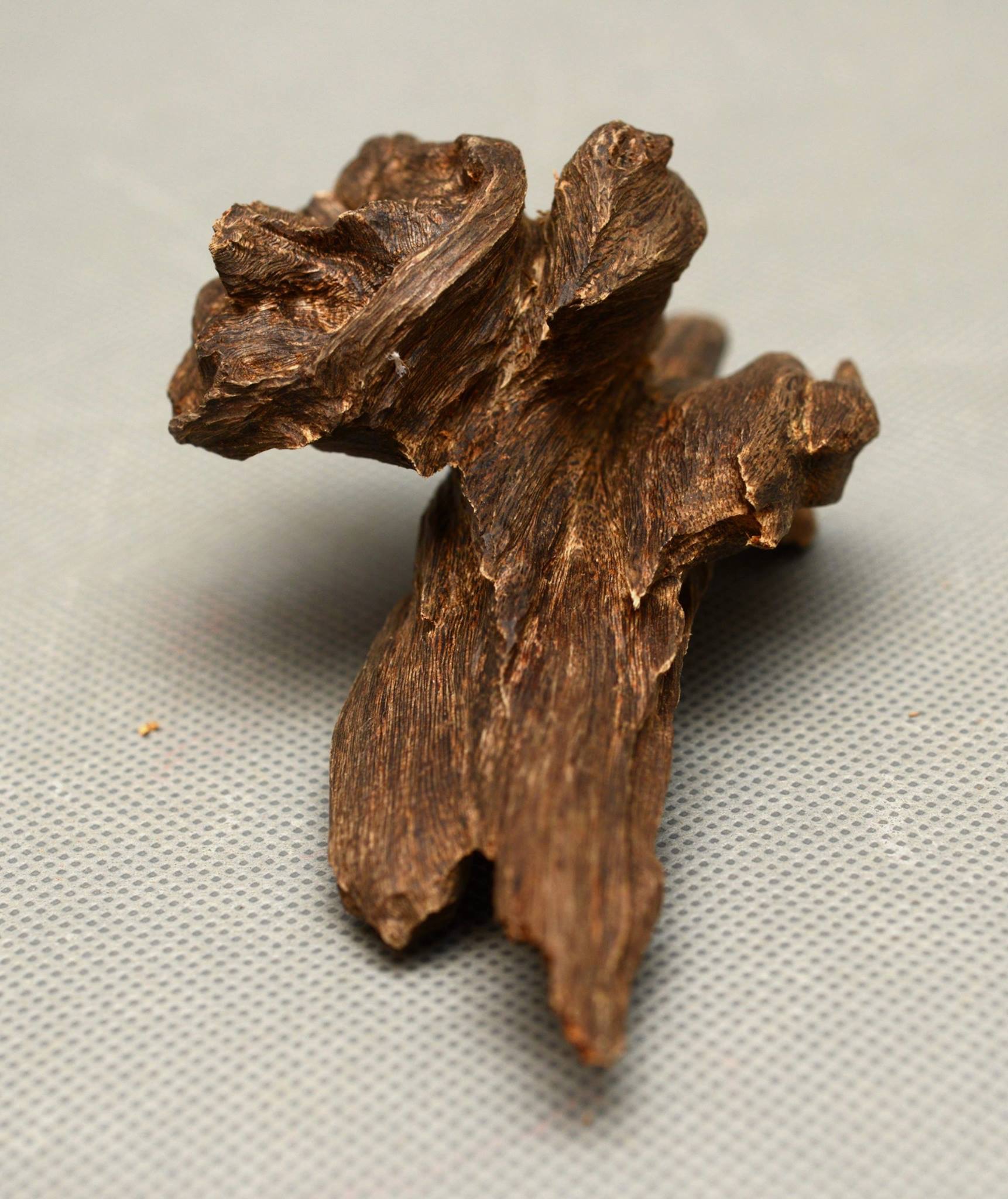 如何选择好的沉香原材或摆件