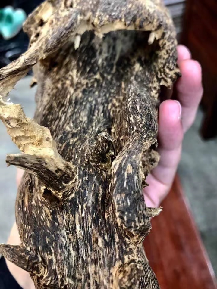 老挝沉香到底好不好？带你了解老挝沉香